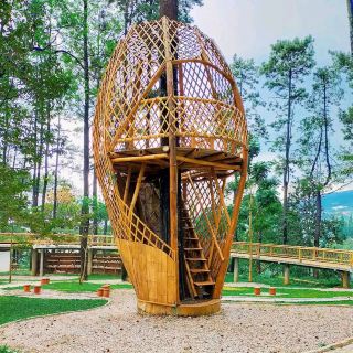 ทานาเรียพาร์ค