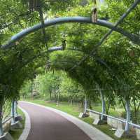 Ningbo Botanical Gardens