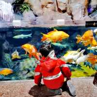 Shanghai Ocean Aquarium