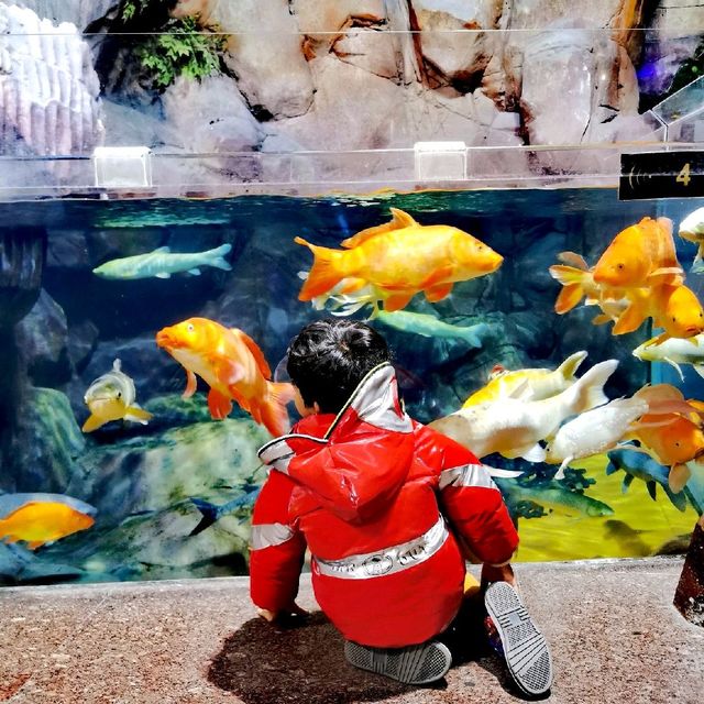 Shanghai Ocean Aquarium