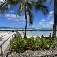 Waikiki’s Walls 