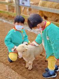 고창의 필수 방문코스 상하농원