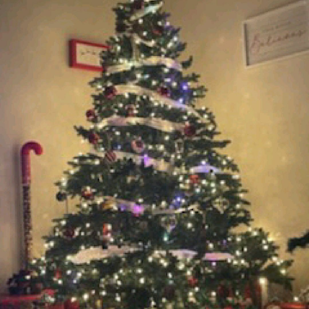 Lemoore Travel Guide 2023 Things to Do, What To Eat & Tips