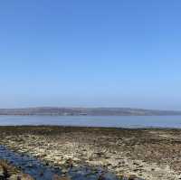 Fairlie beach