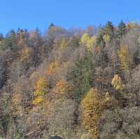Autumn season, Nature’s Art Palette 