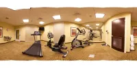 Holiday Inn STATESBORO-UNIVERSITY AREA by IHG - Gym