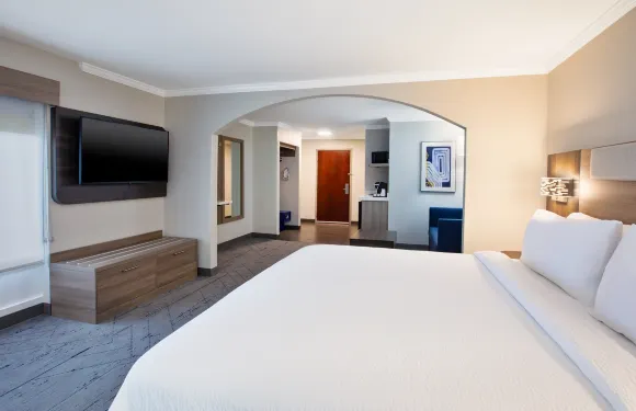 薩姆特智選假日酒店及套房