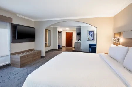 Holiday Inn Express & Suites Sumter Отели в г. Самтер