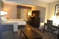 Comfort Inn & Suites Maumee - Toledo I80-90 - 2-Star