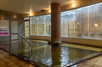美人の湯 寒河江温泉 ホテルシンフォニー本館 - 温泉