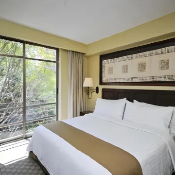 Holiday Inn & Suites 墨西哥城索娜羅莎 改革区附近的飯店
