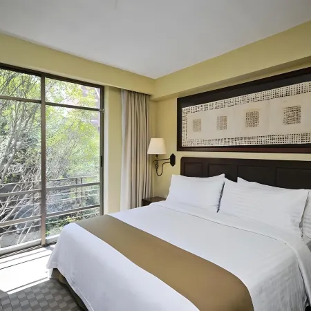Holiday Inn & Suites MEXICO ZONA REFORMA by IHG Отели рядом с достопримечательностью «Театр «Эль-Милагро»»
