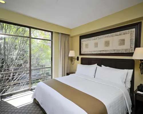 Holiday Inn & Suites MEXICO ZONA REFORMA by IHG Hotels near Mexico Arena