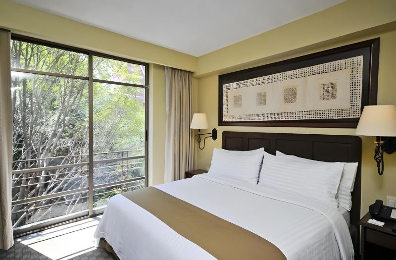 Holiday Inn & Suites Mexico Zona Reforma by IHG
