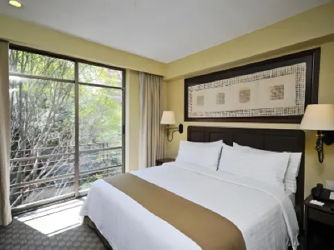 Holiday Inn & Suites 墨西哥城索娜羅莎 墨西哥城酒店