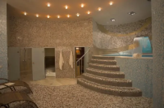 Degas Hotel Hotels in Gorod Voronezh