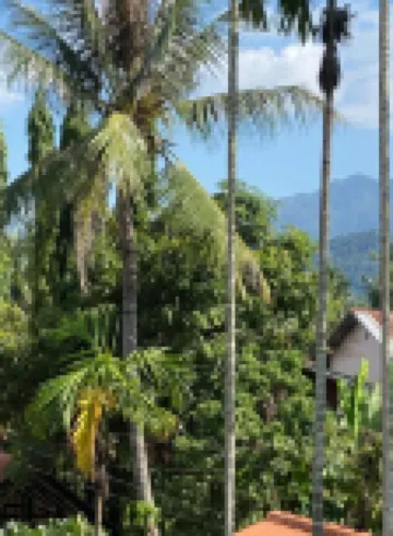 フィデス ブティック ホテル