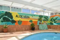 Aloe Vera Shared House - Strand