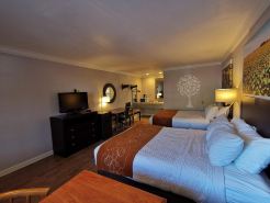 Journey Inn
