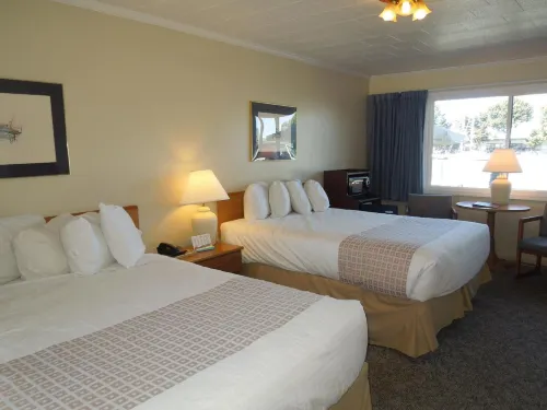Arlington Inn - Wifi
