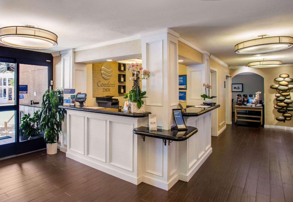 컴포트 인 가스램프 외관