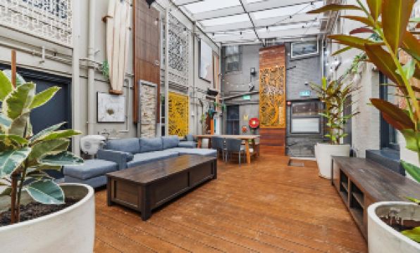 London Plane Backpackers