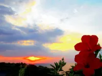 Yakushima Cottage Morino Fairy - Mountain view