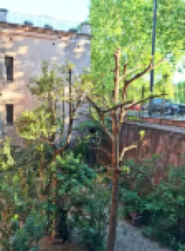 Secret Rhome Hotels near Piazza Navona