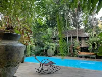 Fern Paradise - Rooftop Pools