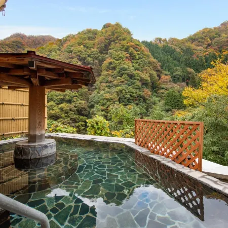 Hotel Kurobe