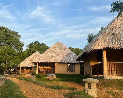 Saffron Lake Yala Hotels in Yala