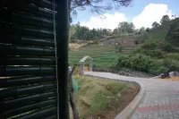 溪邊小屋 - 山景