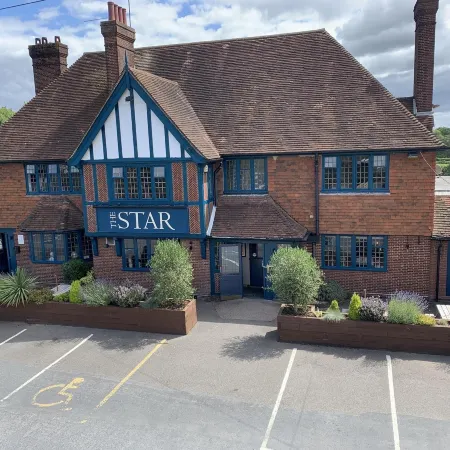 The Star Inn Lingfield otelleri