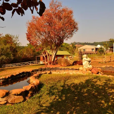 Tsanana Log Cabins and Mullberry Lane Suites