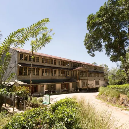 Rockbourne Bungalow