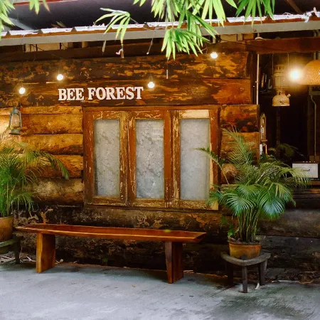 Bee Forest
