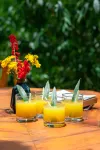 Sapa Riverside Ecolodge & Spa - Bintang 4