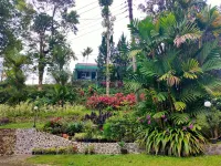 Hotel Anita Baturaden Hotels in Karangsalam