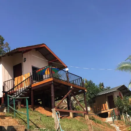 Forest Guest House