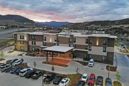SpringHill Suites Durango Отели в г. Дуранго