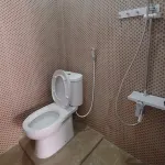 RTM Stable & Homestay