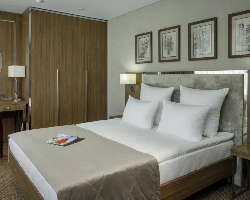 Hakasiya Hotel Hotels in Abakan