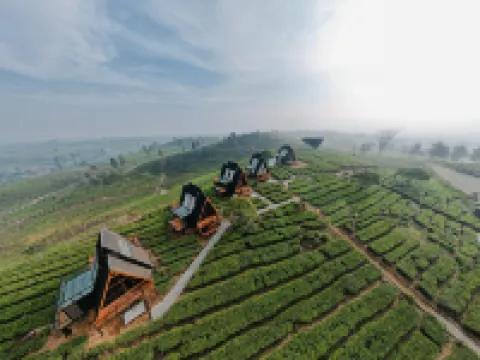 Nimo Tea Resort