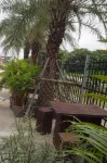 AP Grand Residence
