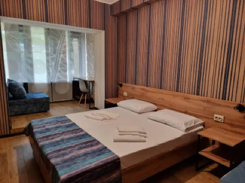 Renome Mini-Hotel Hotels in 