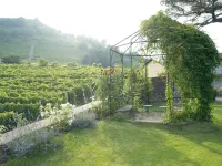 Tenuta Fagnanetto Hotel a Canelli