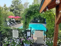 Blue Moon Motel - Rooftop Pools