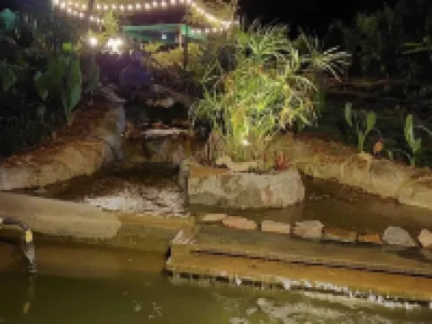 Wilderness Jungle Camp Hotels in Mandya