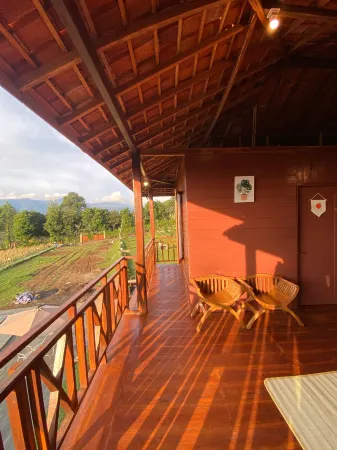 Wood Hill by Nginapsini