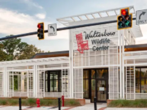 Travelodge by Wyndham Walterboro Hotels in Colleton County